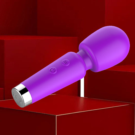 Mini Pleasure Wand