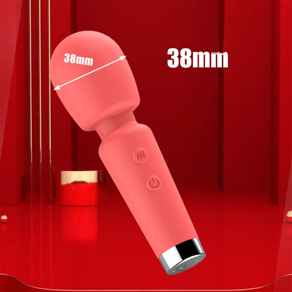 Mini Pleasure Wand